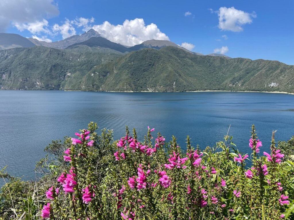 Copia de cotopaxi 11