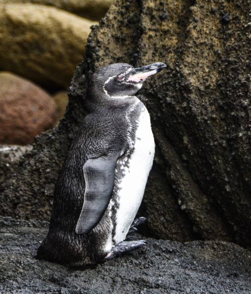 SCII MAY 14-18 2018 (228)