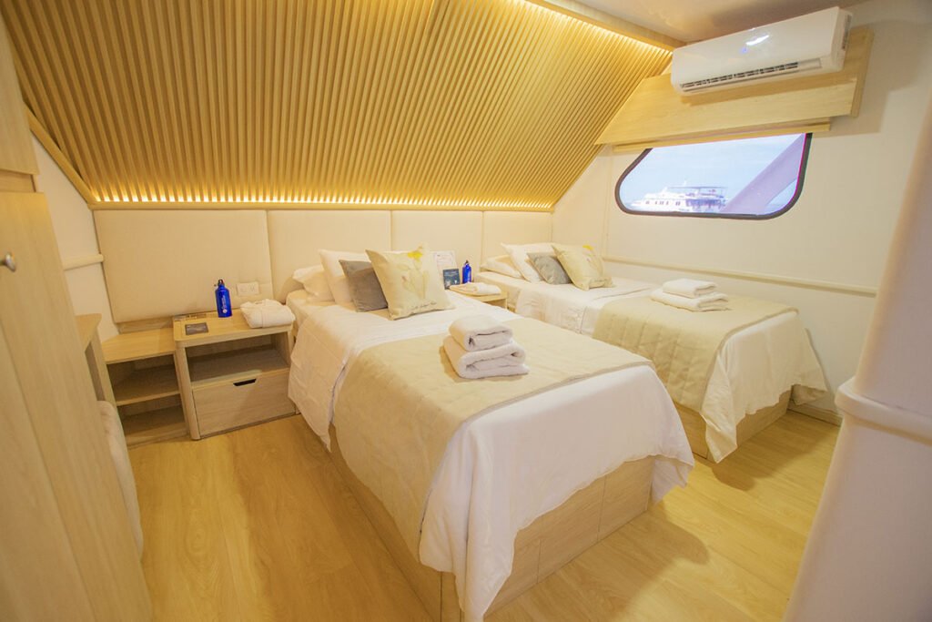 Cabin-2-Twin-or-Mat-twin-cabin-seaman-journey-1