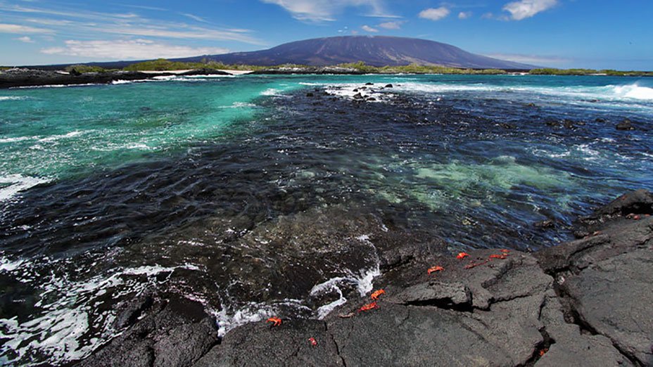 Fernandina-Island-Ecuador