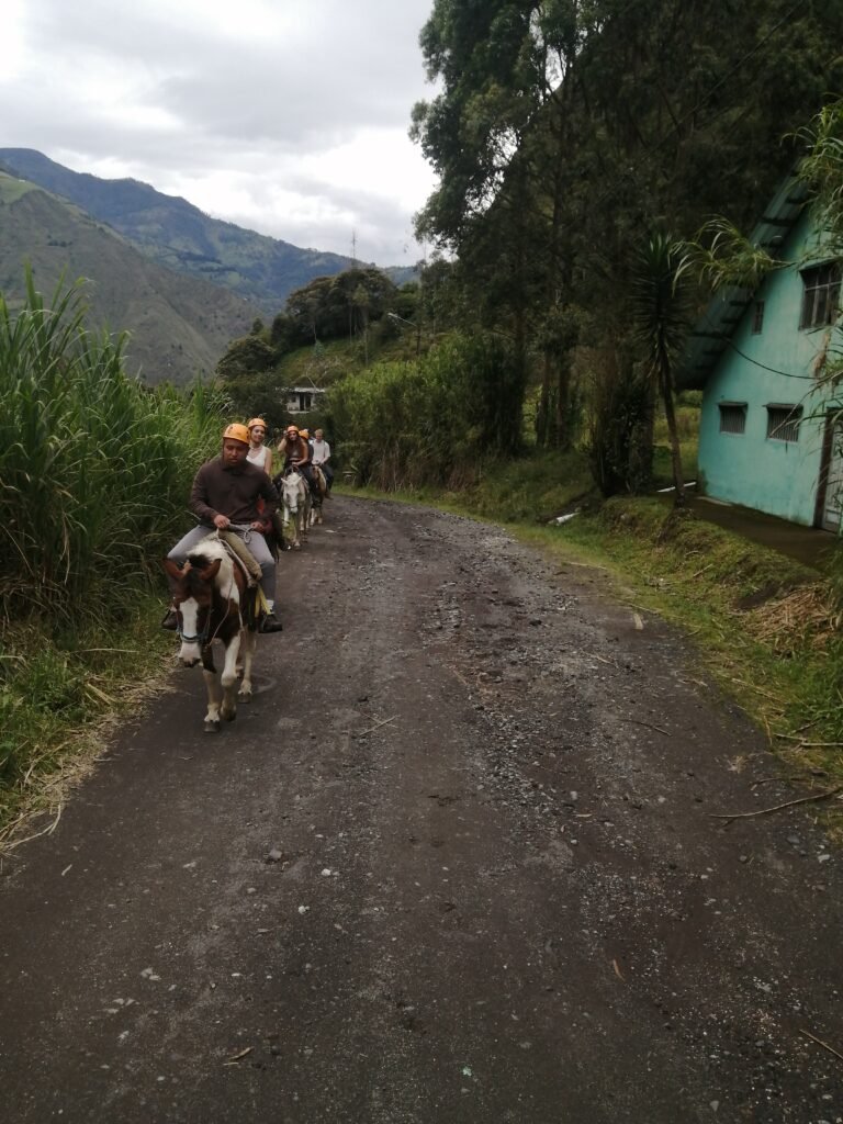 IMG_20210825_095623_1