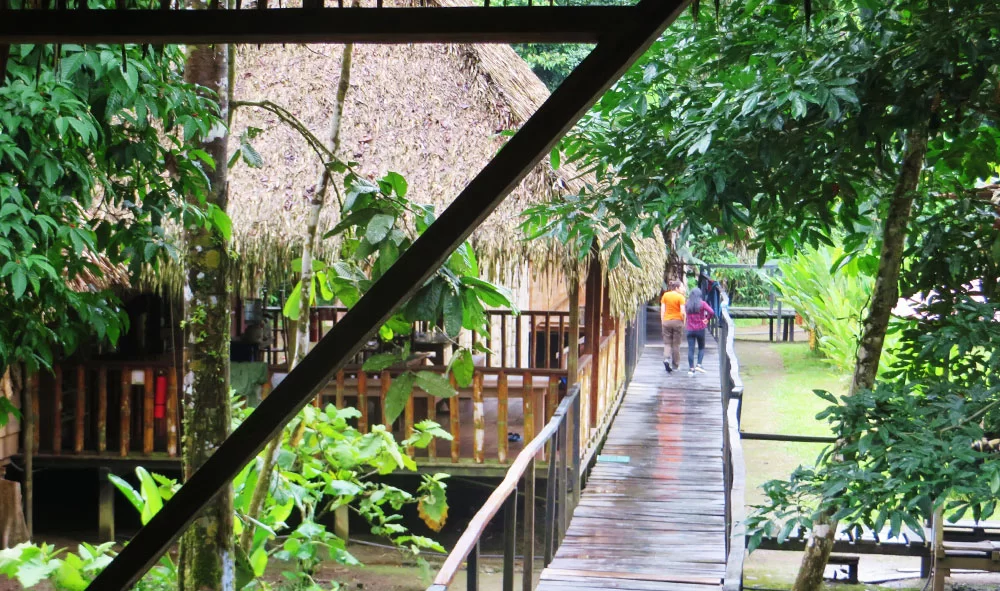 lodge-cuyabeno-reserve-tucan-1