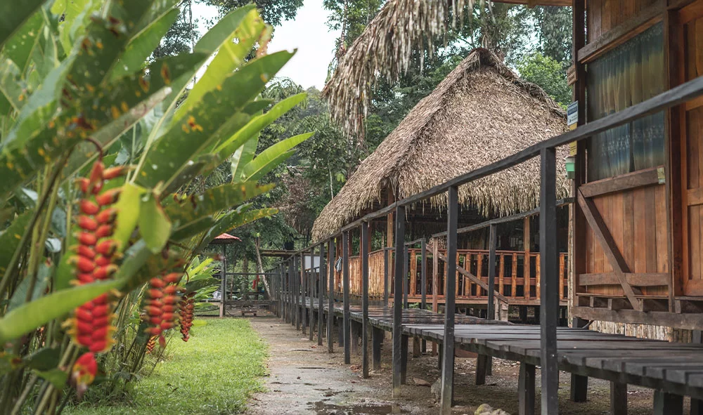 lodge-cuyabeno-reserve-tucan-amazon-1