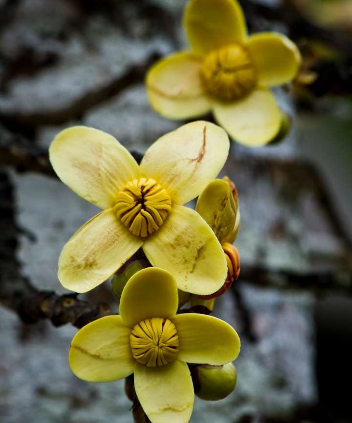 1TMPJ6Wn3YtI4dzc9C27