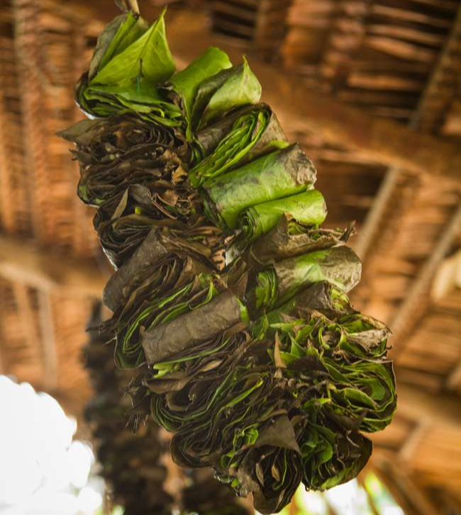 2L9fHO94ENmjR9o0NsBp