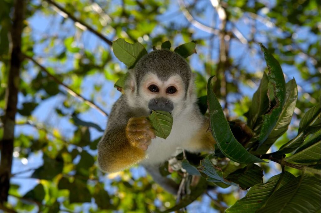 64lg66JOW3lxW8vfAVjp