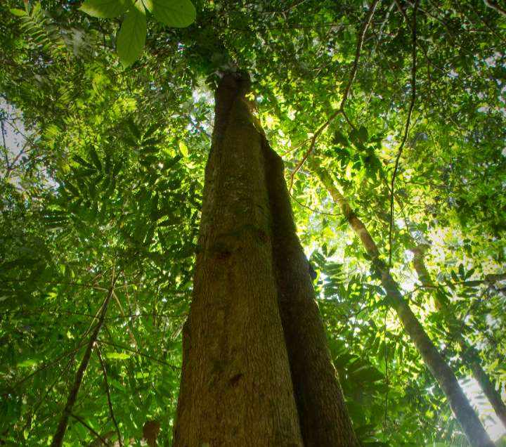 6HN2DsxlIywYMOyCjqA9