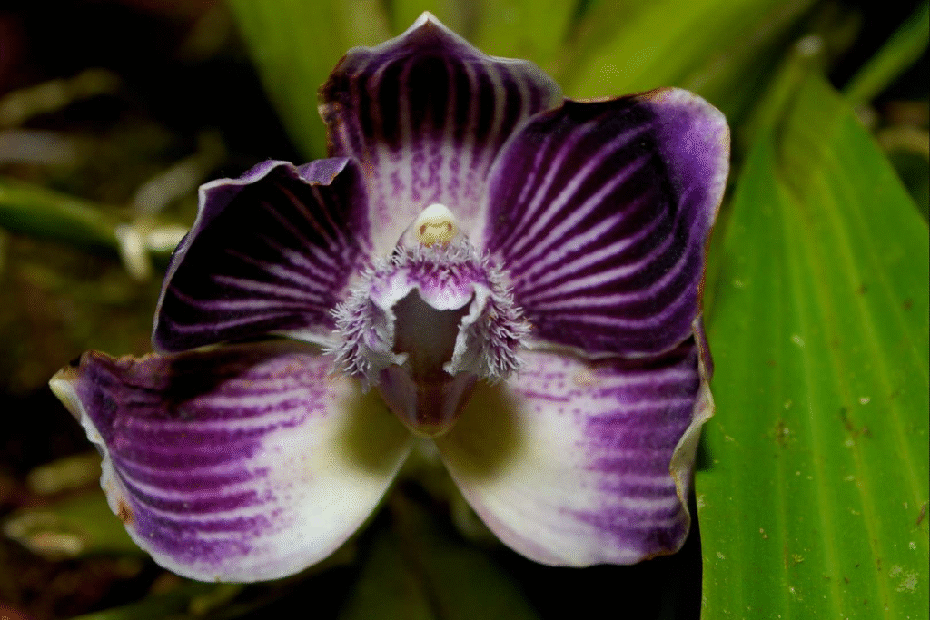 96K0Kg64vgxmbzJCSr7g