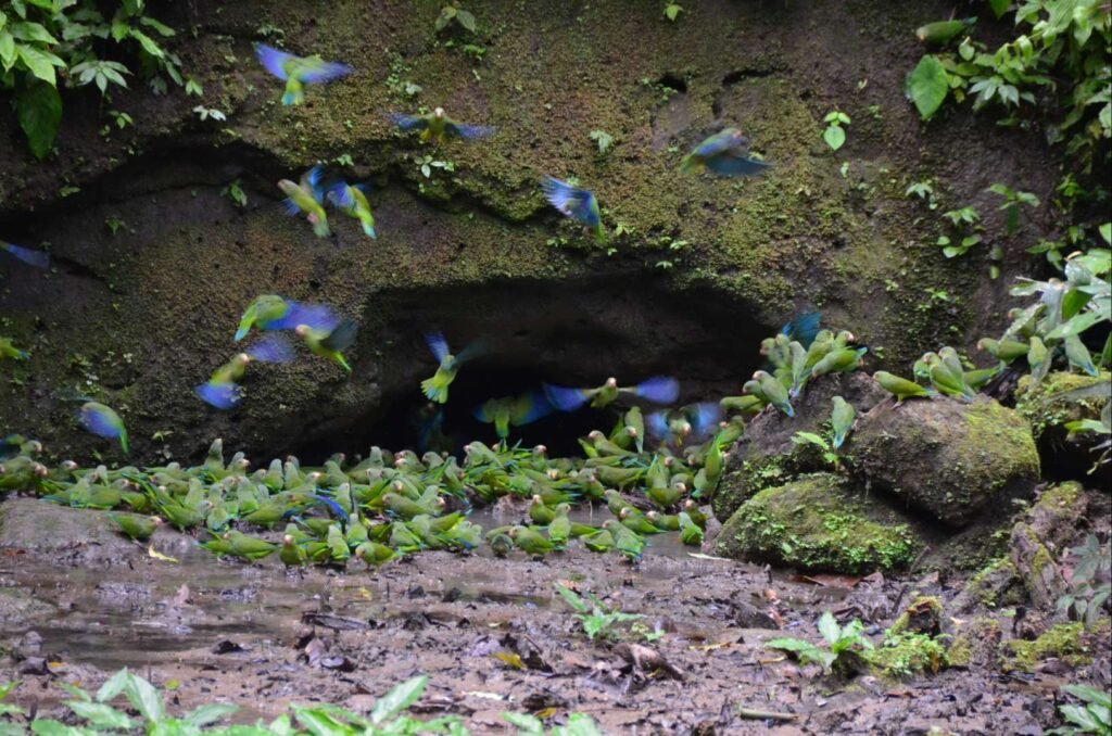 9pbHFjUoj8W2wQFlstVI