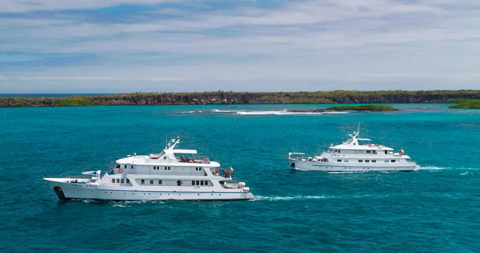 Coral-1-2-Galapagos-Yachts-Features.jpg