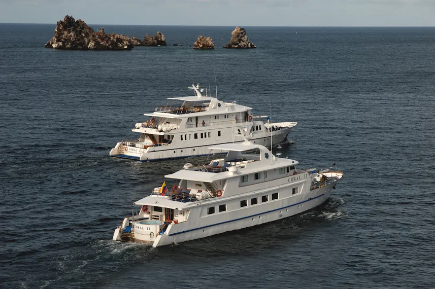 Corals_at_Devils_Crown_2016