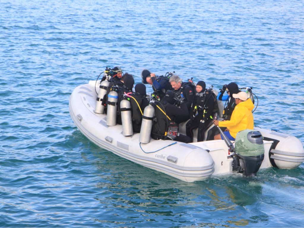 Experience-Humboldt-Explorer