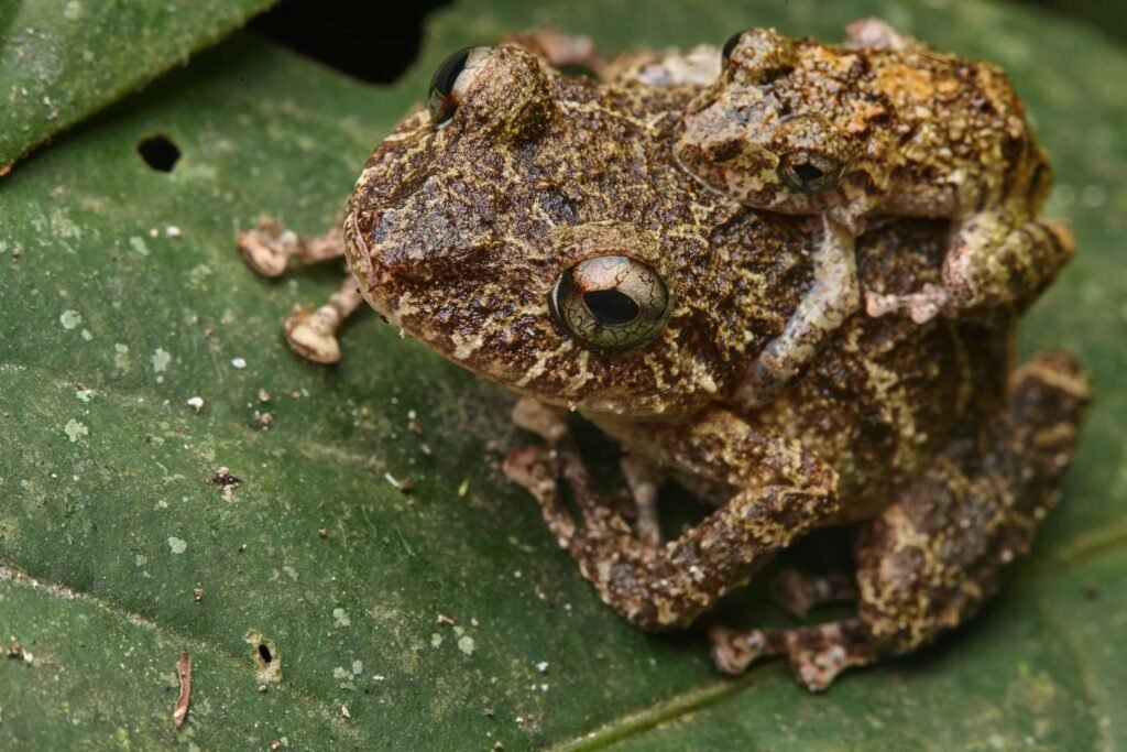 F69N301Oj8sNil9TkO1n