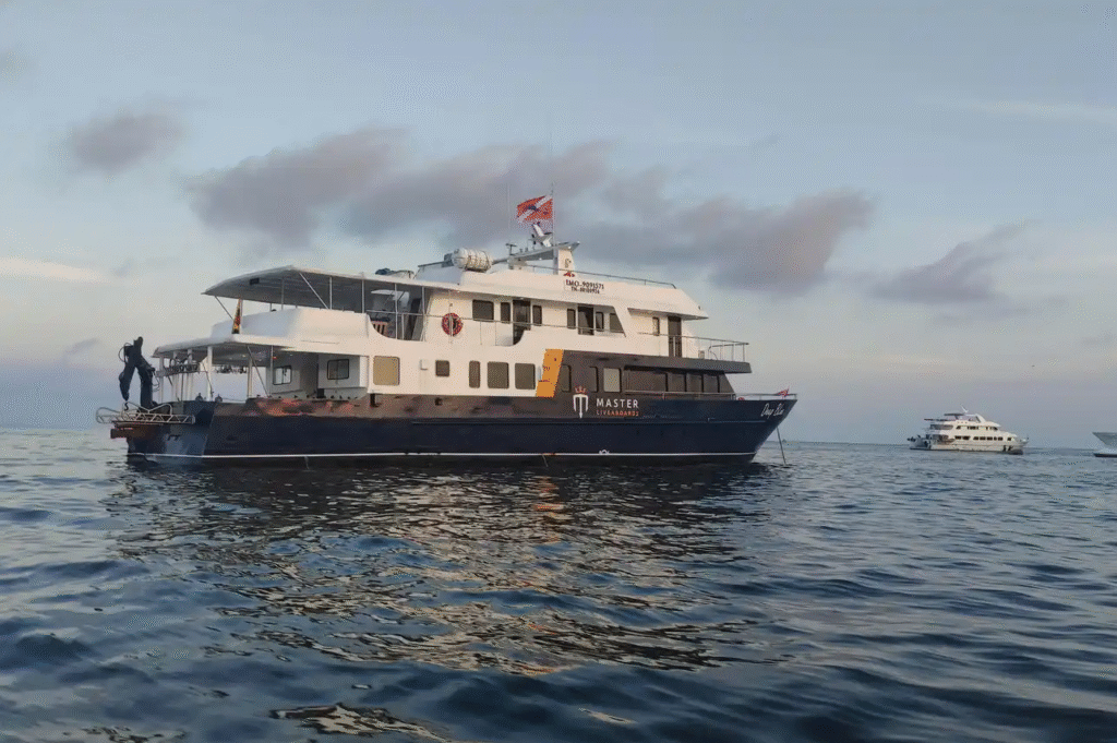 Galapagos-Master - -Extra-Large-(1)-k