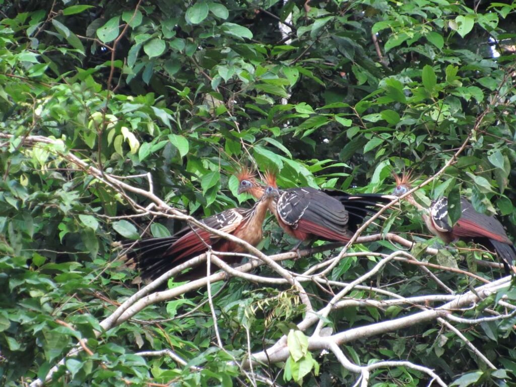 GyjdmentdiAkNsTZAbZn