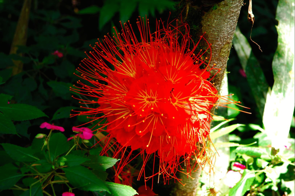 KazhJv35CU215BKoAvkn