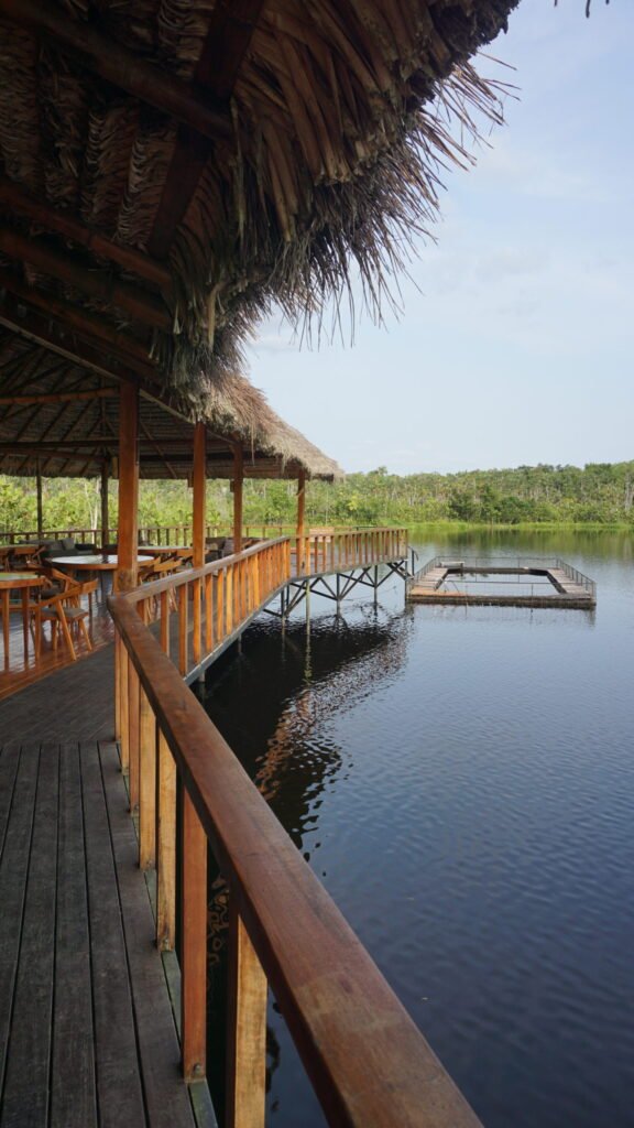 Lodge-Sacha-Lodge-2-scaled