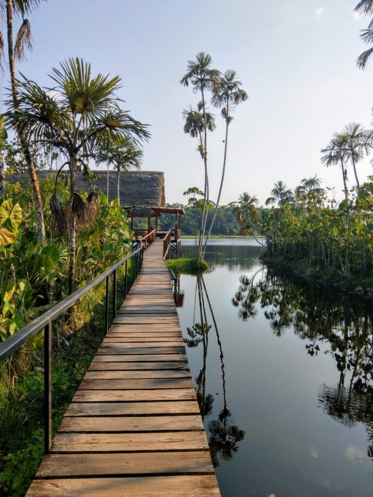 Lodge-Walkway-Sacha-Lodge-IMAG2755-scaled