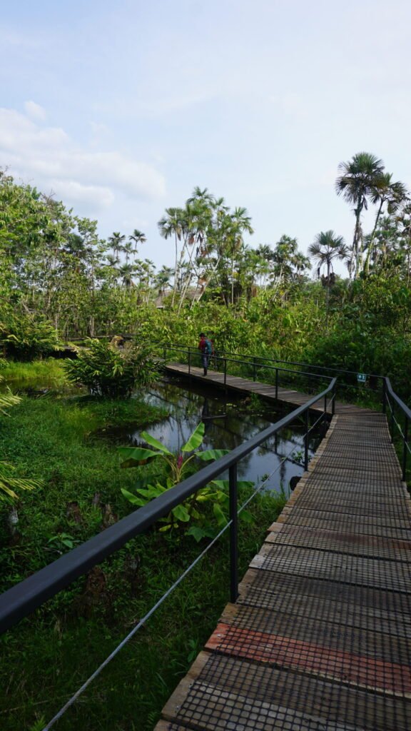 Lodge-Walkway-Sacha-Lodge-scaled