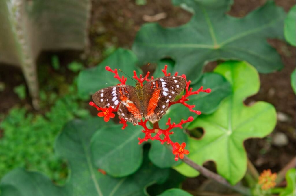 QvETKaPTHrDPCByCbMyp