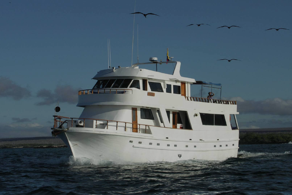 Recurso-118-1-e1637267362775