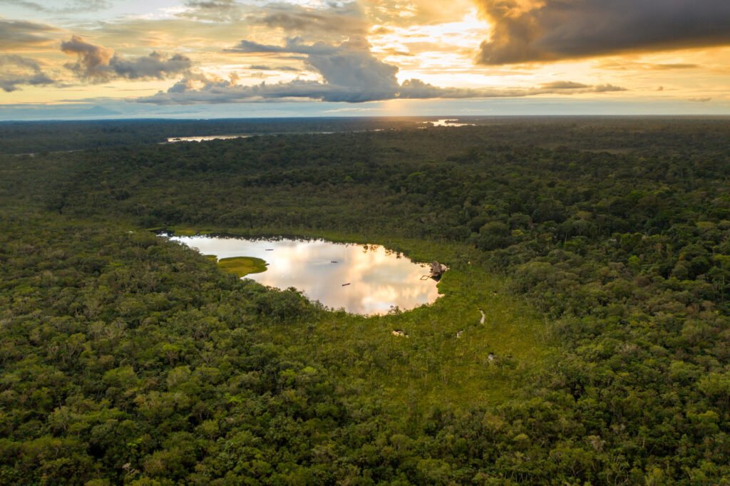 Reserve-Sacha-Lodge-HIGH_RES_SACHA_LODGE_DRONE-3-scaled