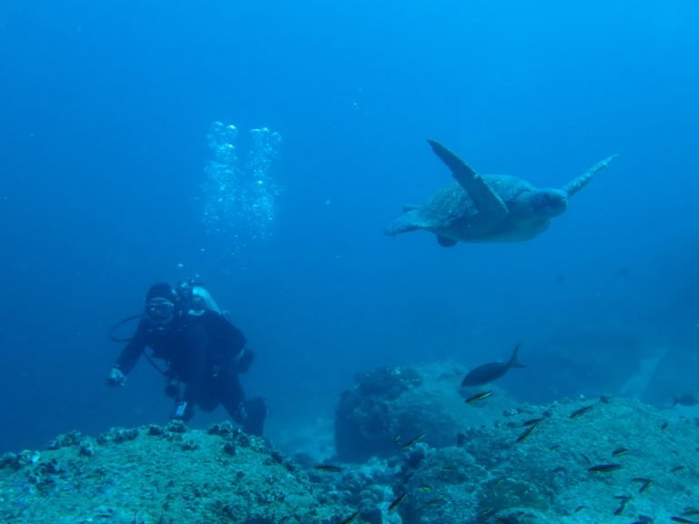 aqua-diving2-768x576