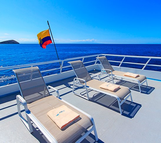 aqua_adventurous_galapagos