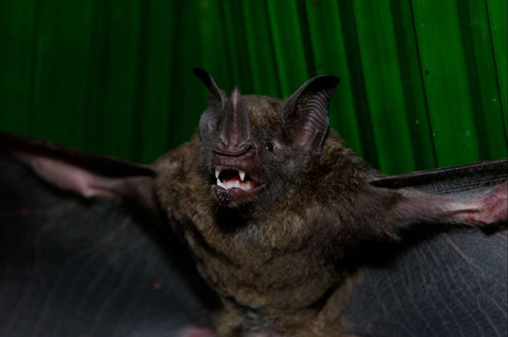 bTFkLNC88fJQ99cp3GGS