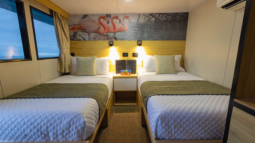 bonita-yacht-double-cabin-1-25-nov-2024