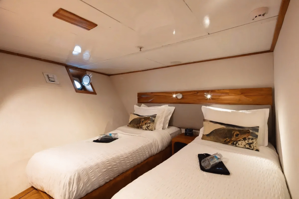 coral yachts STANDARD-2