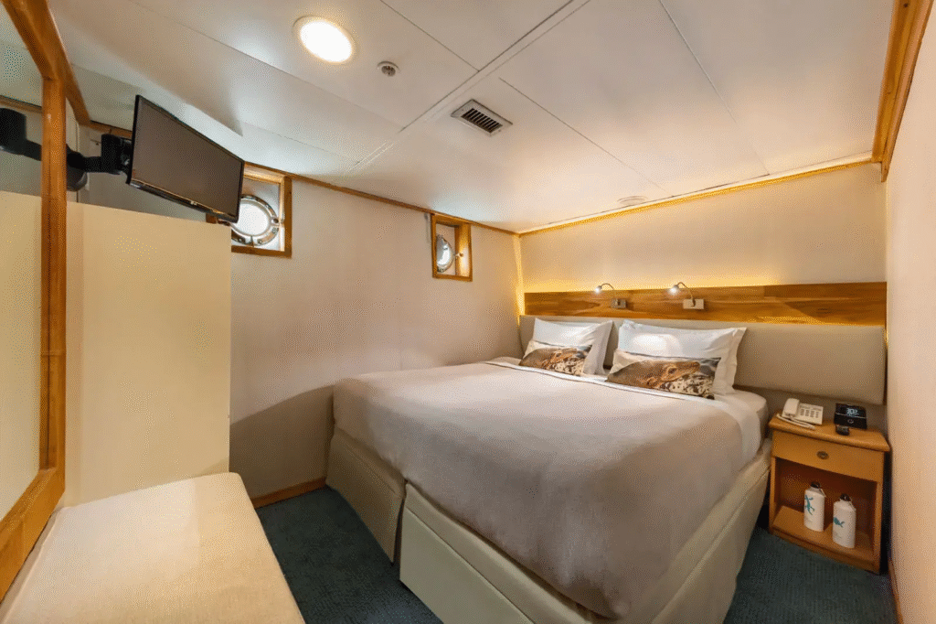 coral yachts STANDARD-PLUS-CABIN-1