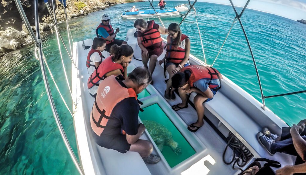 coral yachts glass-boat-1024x587