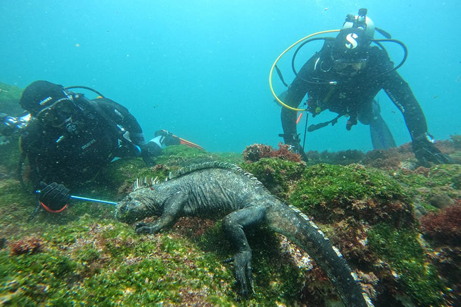 diving11-galaxy-diver