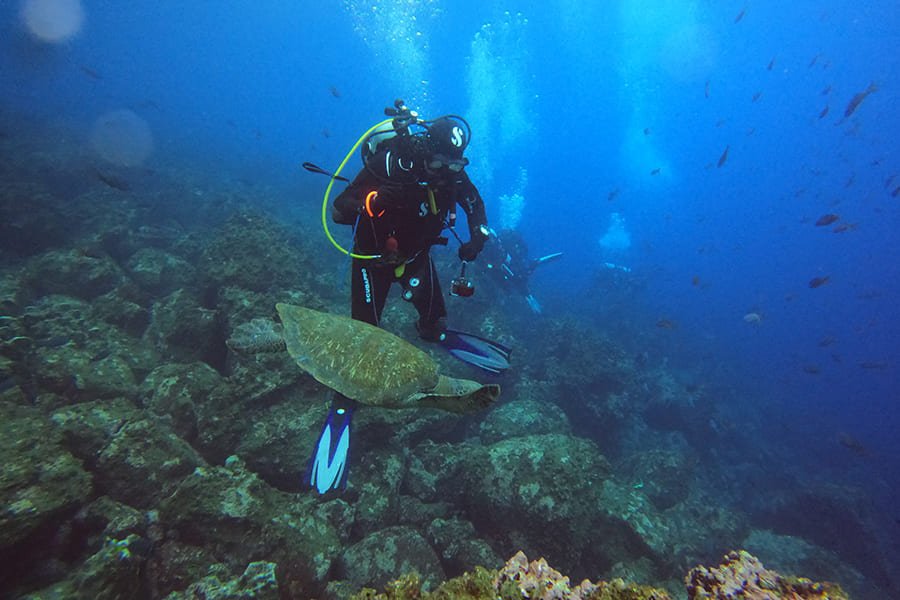 diving3-galaxy-diver