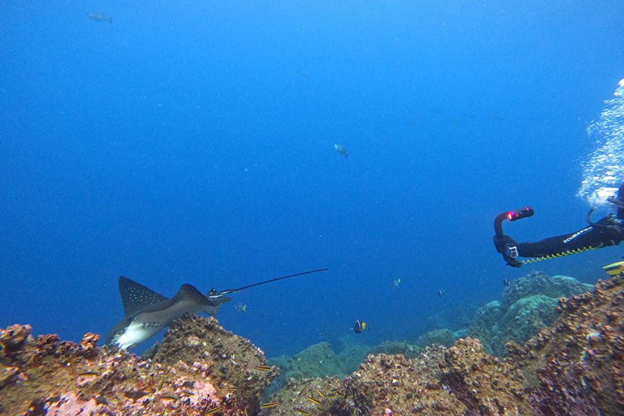 diving8-galaxy-diver