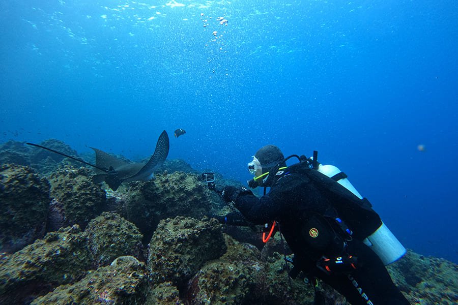 diving9-galaxy-diver