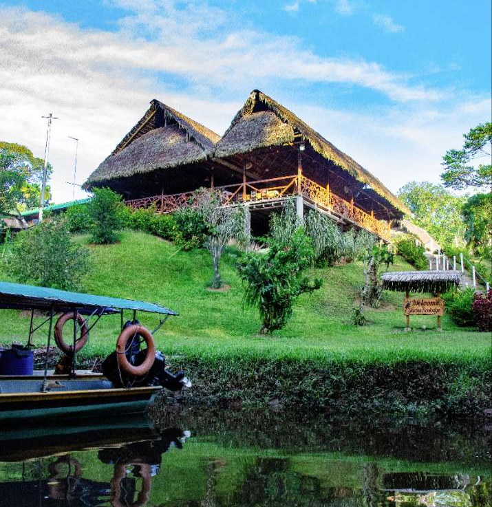 downwards view of yarina lodge