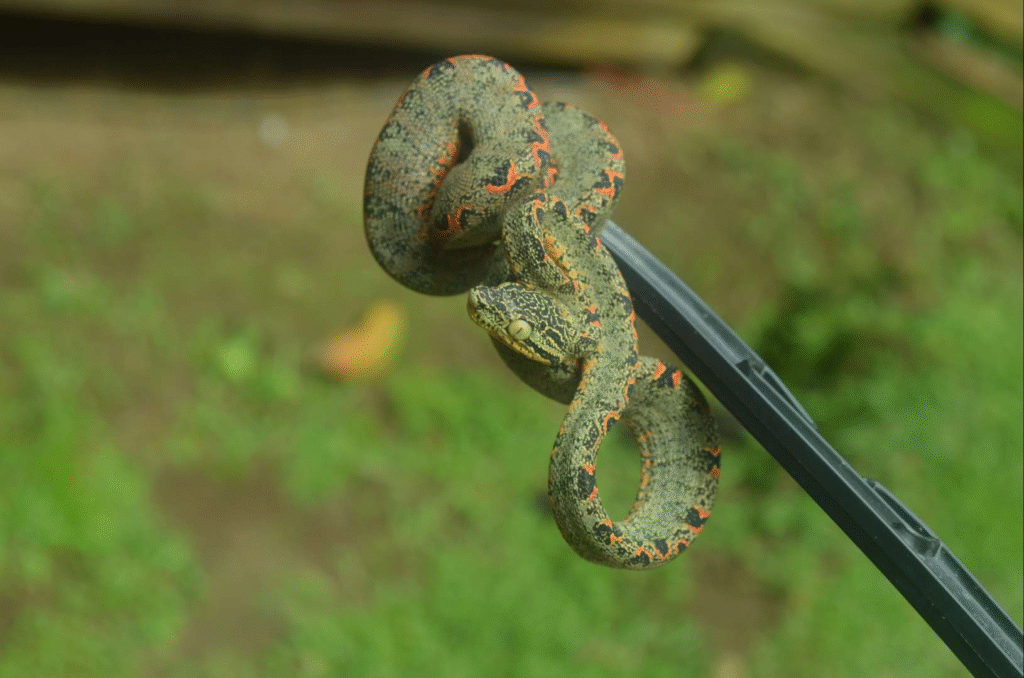 eLtyzMrUVzKdqgmgHBrk