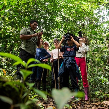 ecuador-ecolodge-itamandi-02