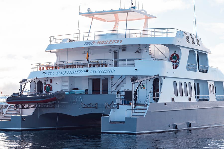 exterior2-alya-catamaran