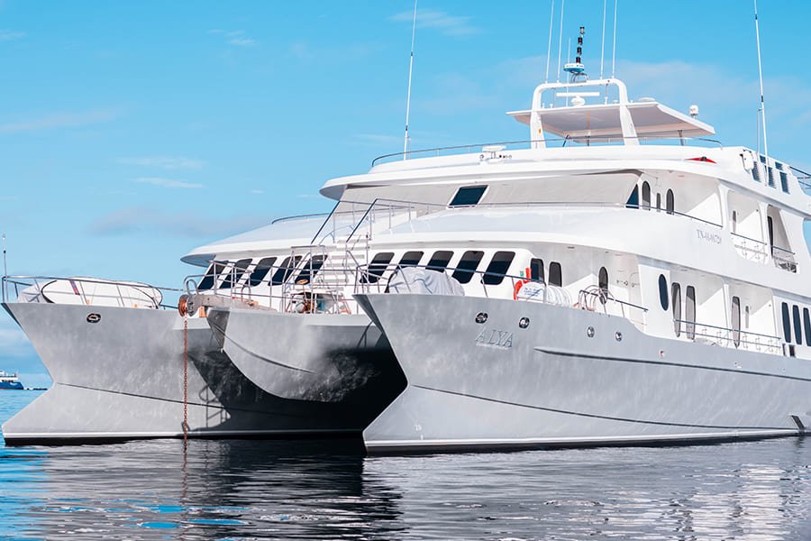 exterior4-alya-catamaran