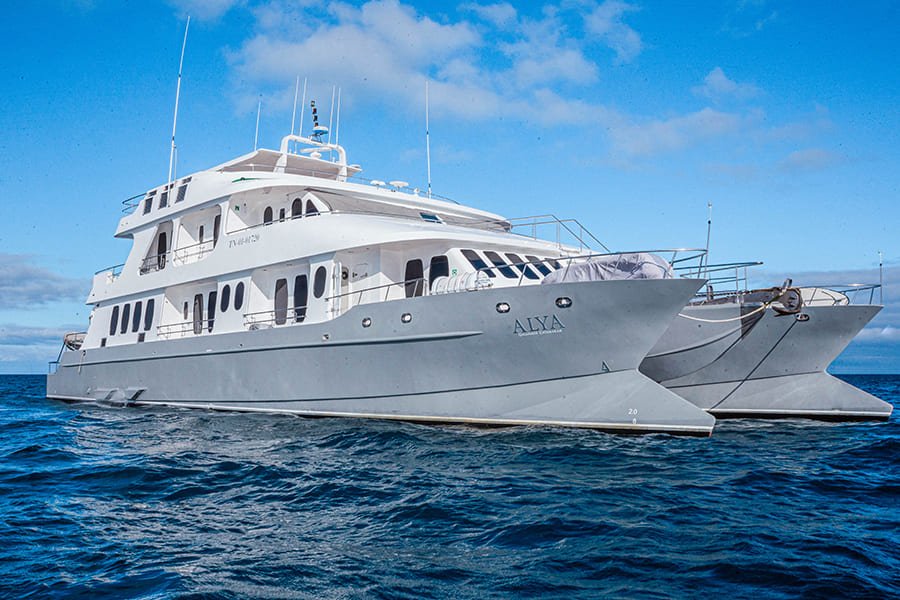 exterior6-alya-catamaran