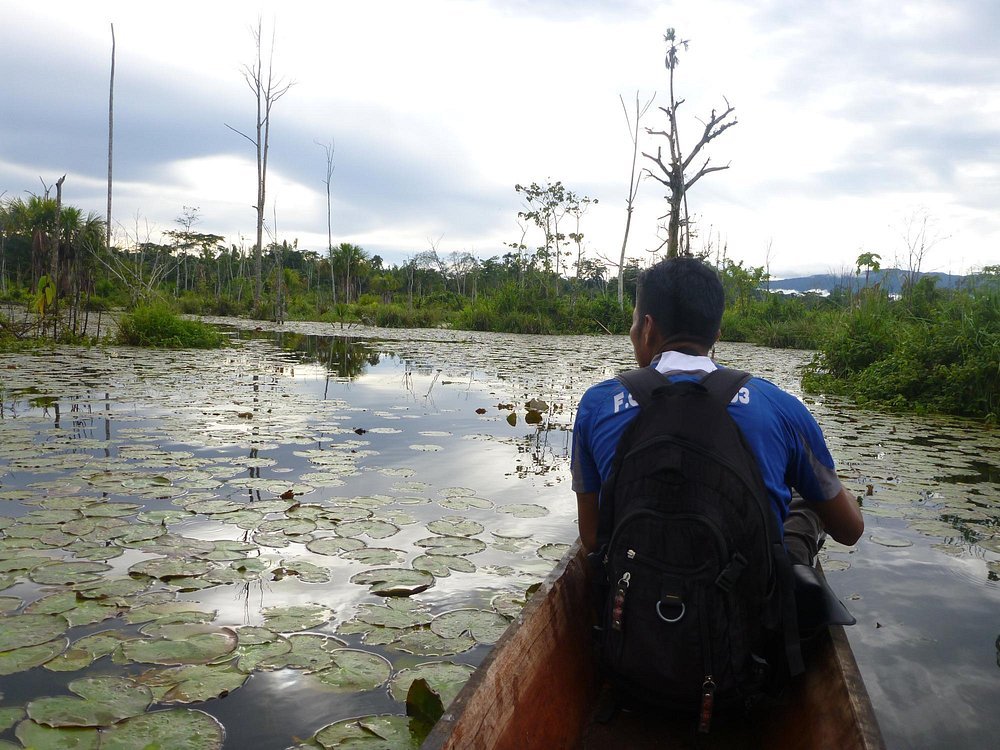 gaia-amazon-eco-lodge (22)