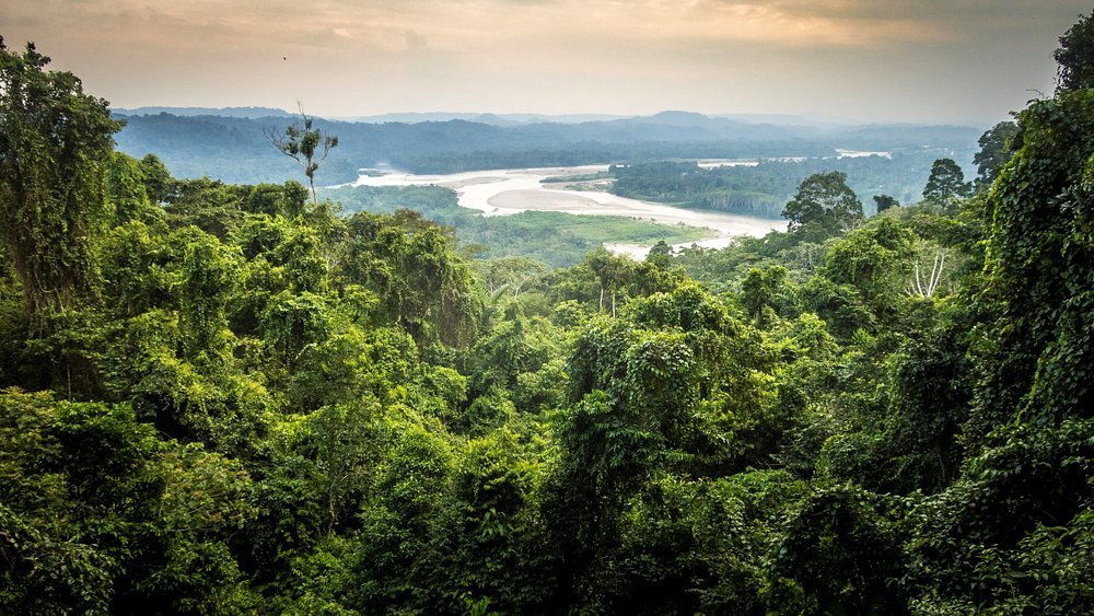 gaia-amazon-eco-lodge (24)