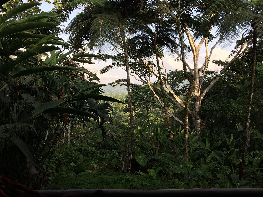 gaia-amazon-eco-lodge (7)