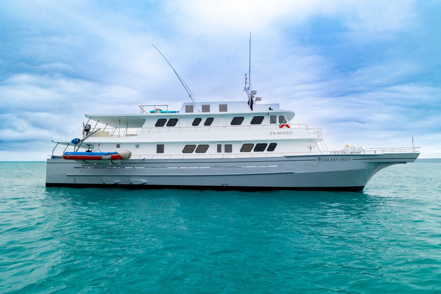 galaxy-orion-exterior-1-26-nov-2024