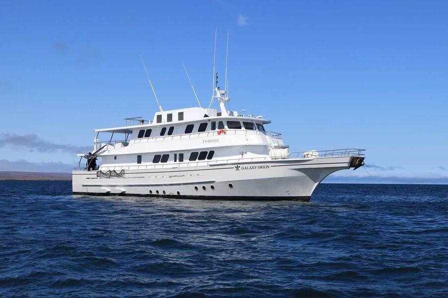 galaxy-orion-exterior-4-26-nov-2024