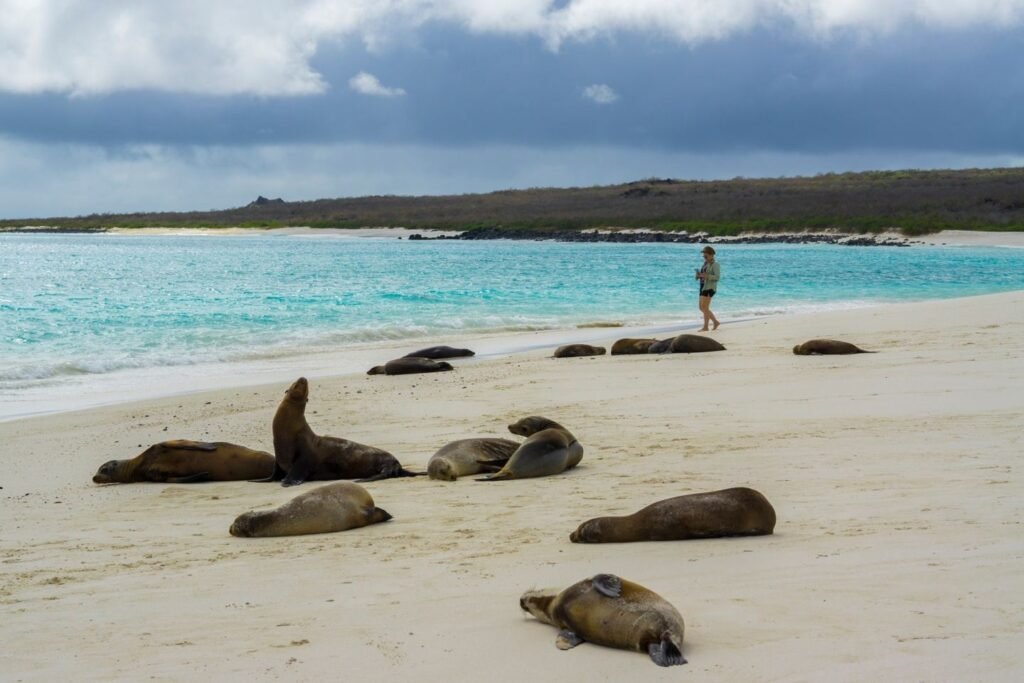 gmajestic-exp-excursion3