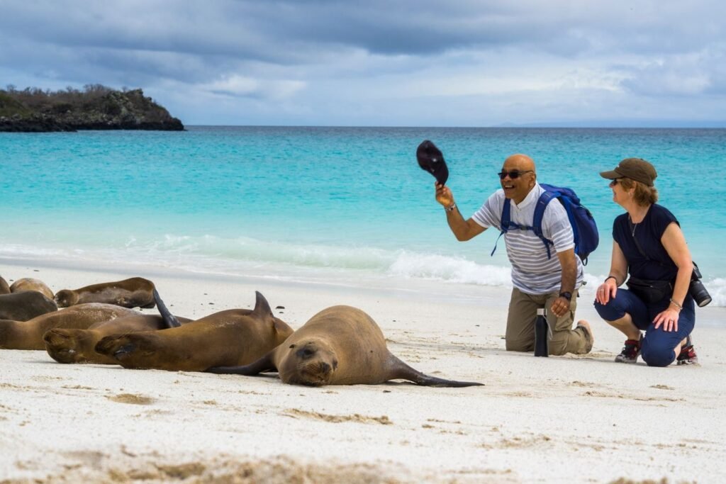 gmajestic-exp-excursion5